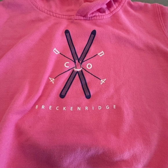 Little Girl Size 4 Breckenridge Hooded Pink Sweatshirt-Washed, Never worn - Picture 2 of 6